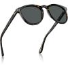 5-2. Tortoise Frame Gray Lens