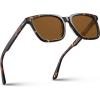 A4. Brown Lens