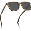 A5.brown Streak Frame Grey Lens