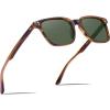 2. Stripe Frame Green Lens