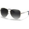 4-2. Grey Gradient Lens