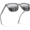 6-1. Gray Lenses