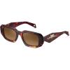 B: Glossy Tortoise Acetate Frame + Brown Lens
