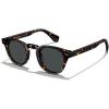 A2. Tortoise Frame Gray Lens