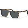 8-1. Tortoise Frame Gray Lens