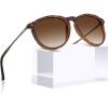 2. Brown Gradient Lenses Silver Temple