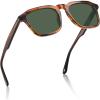2. Striped Havana Frame Green Lenses