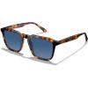 4. Havana Frame Blue Gradient Brown