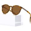 6.tortoiseshell Frame + Brown Lens