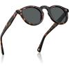 2-tortoise Frame Gray Lens