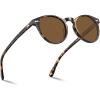 R3: Brown Lens Tortoise Frame
