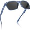 C: Matte Stripe Frame Gray Lens