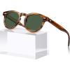 3-1. Brown Striped Frame Green Lens