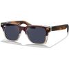 B2-brown Frame Blue Lens
