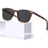 B. Tortoiseshell Frame Gray Lenses