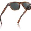 C2. Brown Striped Frame Gray Lens