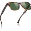 C3-1. Brown Striped Frame Green Lens