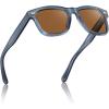 C6. Clear Blue Gray Frame Brown Lens