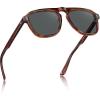 3. Brown Tortoise Frame Gray Lens